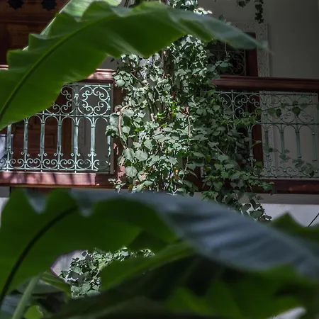 Riad Les Bougainvilliers-3