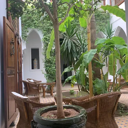 Riad Les Bougainvilliers-2