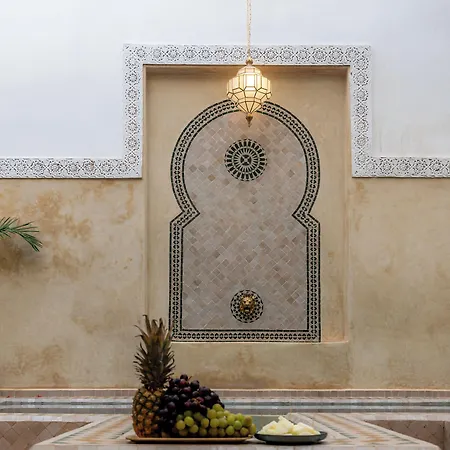 Riad Amegrad-3